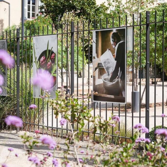 Taote - Studio Avec Terrasse Au Coeur De Ville Brignoles Extérieur photo